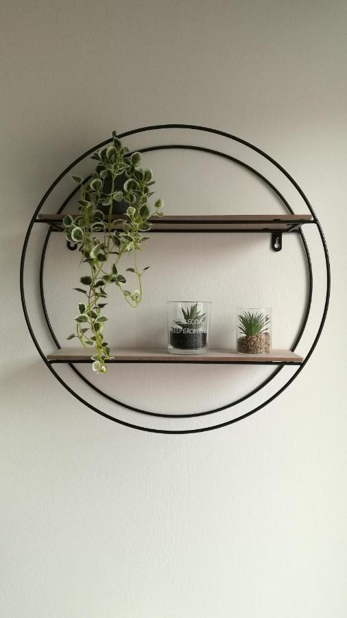 Design N. 41 Trient